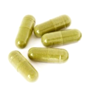 capsula para Llenadora de capsulas semiautomática