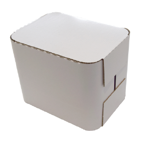 pack wrap_Mesa de trabajo 1